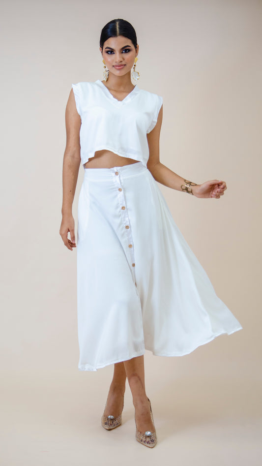 SET FLAVIA
